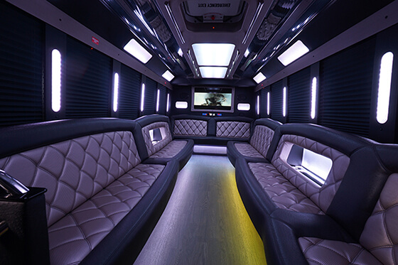 Interior novi limousines