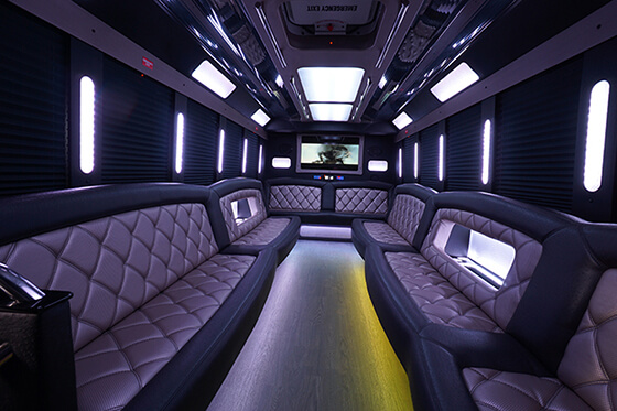  limo interior Saline Mi